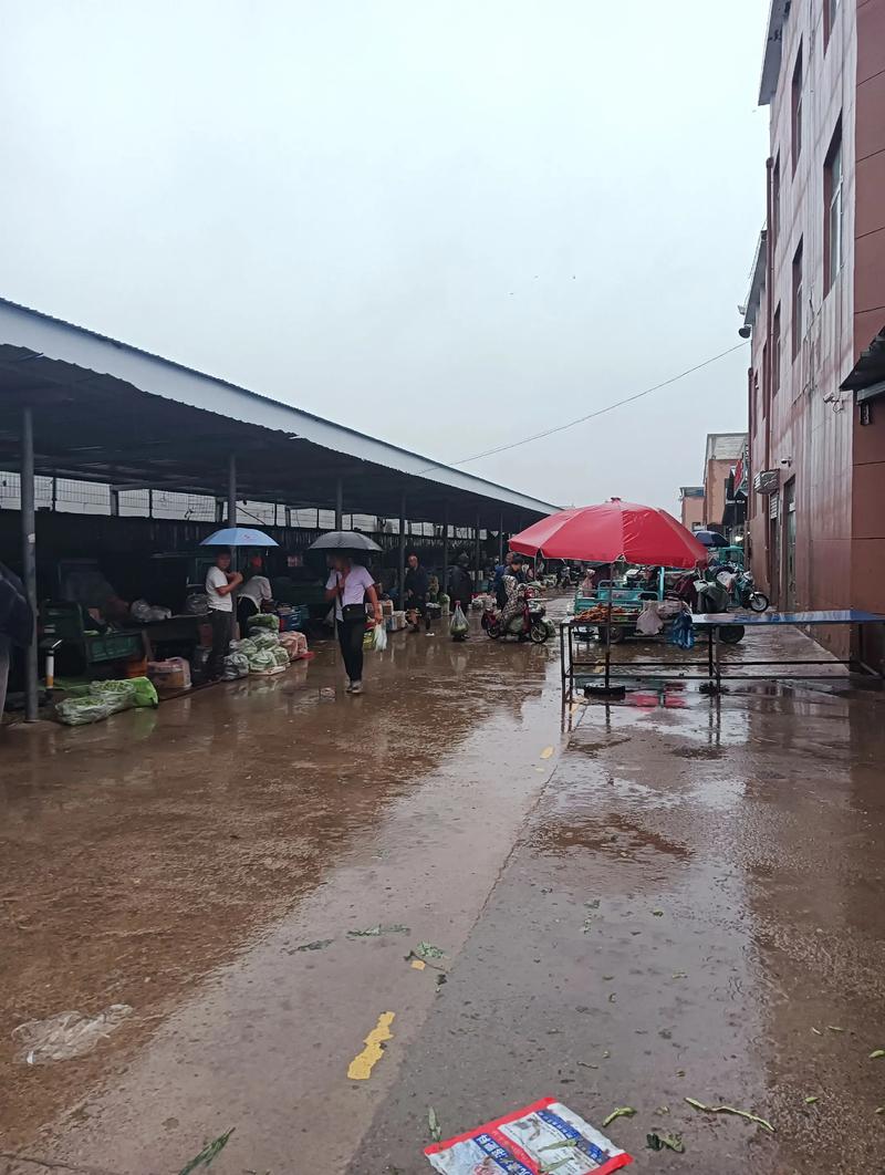 泗洪商贸新形势：永青商贸有限公司的突围之路